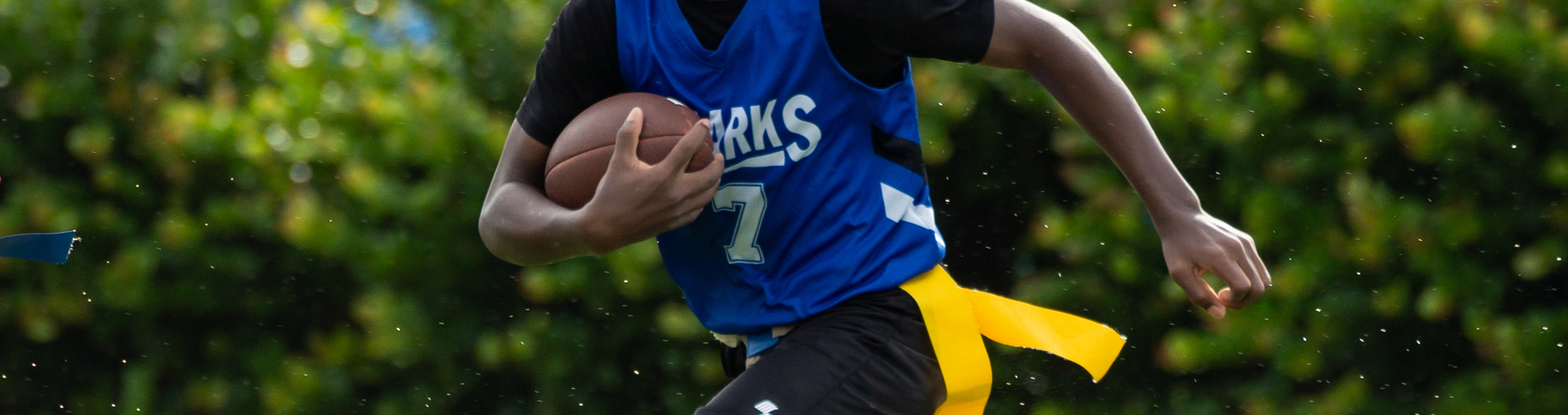Athletics Program Banner