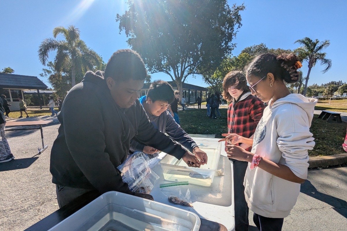 students examining water filled bins of marine life in an outdoor classroom at tuition-free charter school Palm Beach Maritime Academy