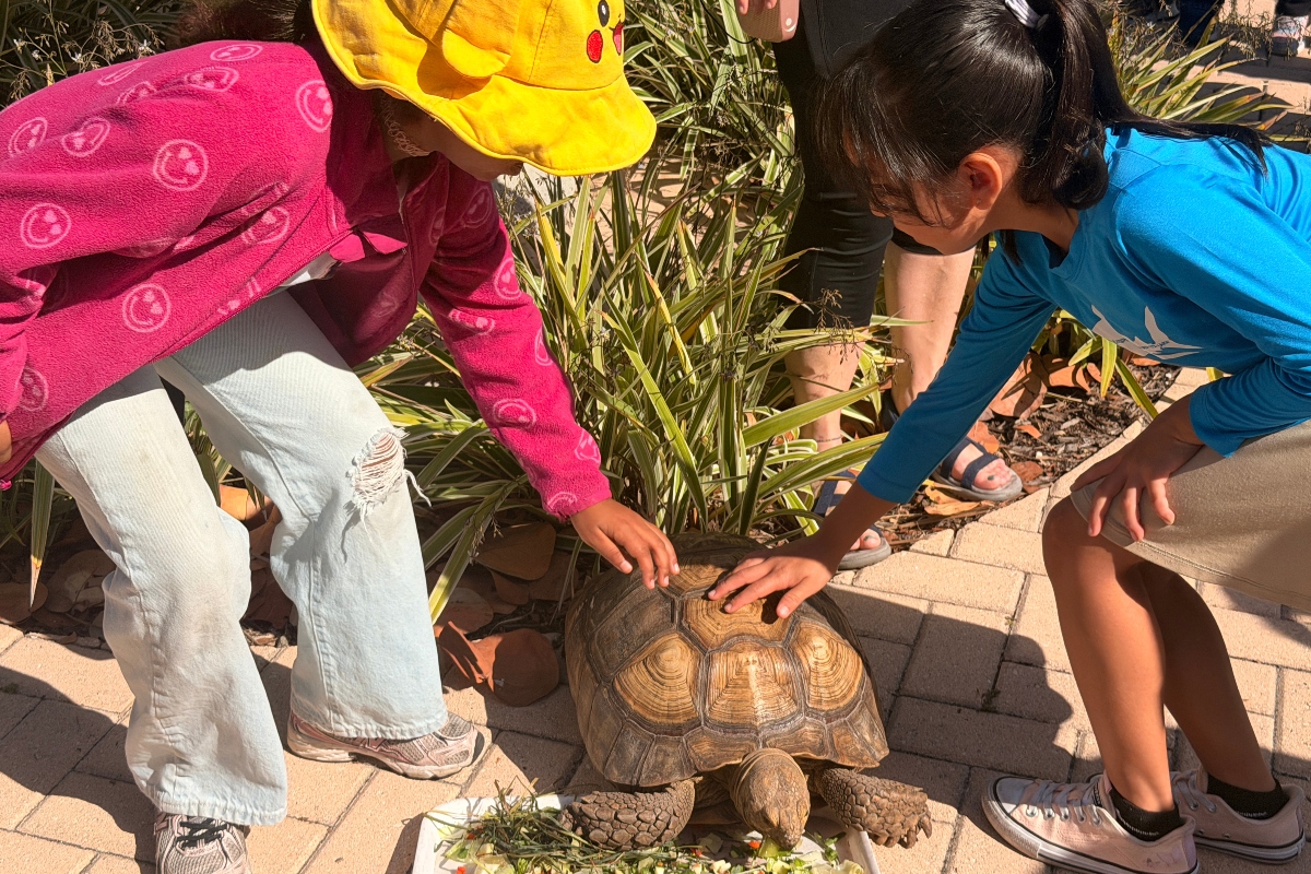 two students at charter school PBMA touching a turtle together